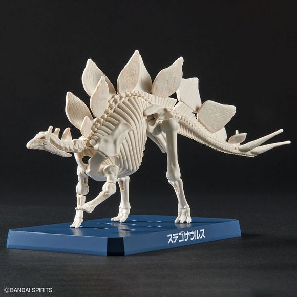 Bandai Hobby Planosaurus Stegosaurus Model Kit | Galactic Toys & Collectibles
