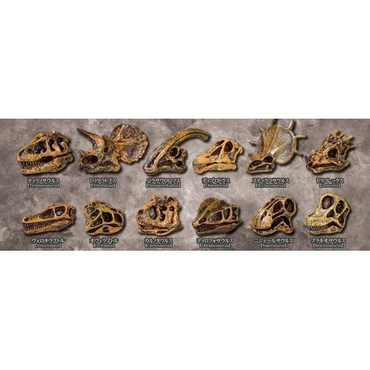 Yell Dinosaur Fossil Museum Gachapon Capsule (Random)