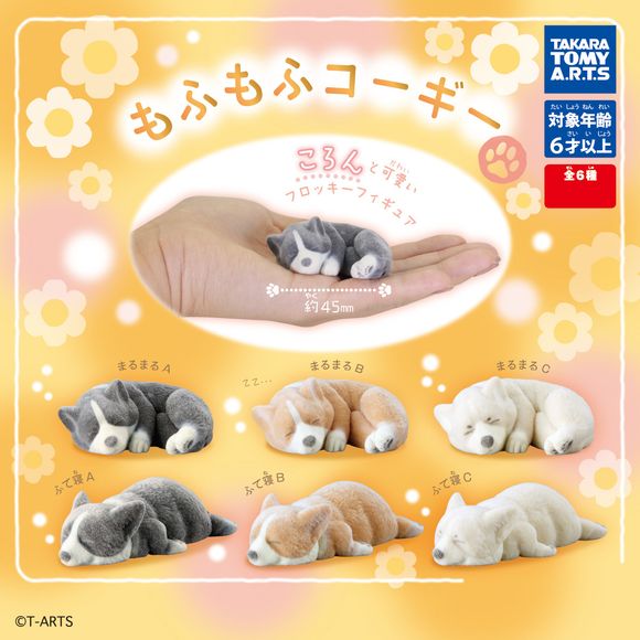 Collect all 6!: Black & White Curled up corgi, Black & White laying corgi, Orange & White Curled up corgi, Orange & White laying corgi, White Curled up corgi, & White laying corgi
You will receive 1 random