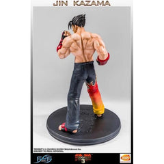 Jin Kazama Tekken 3 Regular Replacement