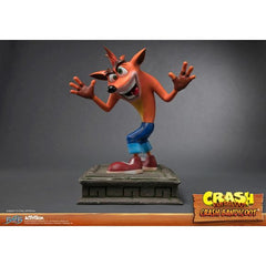 Crash Resin Regular Replacement