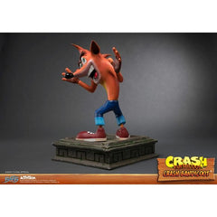 Crash Resin Regular Replacement