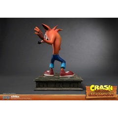 Crash Resin Regular Replacement