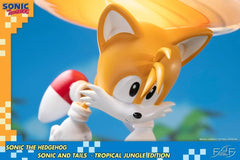 First 4 Figures: Sonic the Hedgehog – Sonic and Tails Tropical Jungle Edition (Sample)