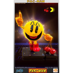 This statue has no edition number, and is a sample in new condition. It stands 17" tall and is the perfect way to commerate this video game legend.