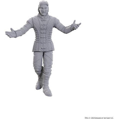 WizKids D&D Nolzur's Marvelous Miniatures: Special Edition Baldur's Gate 3 (Sarevok Anchev & Raphael)