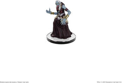 Dungeons & Dragons: Icons of the Realms: Monster Manual Collection 1 Booster (Single Pack)