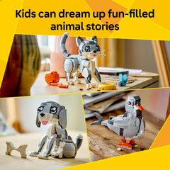 LEGO Creator 3 in 1 31163 Playful Cat Building Kit