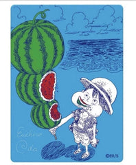 One Piece Metakira Monkey D. Luffy Watermelon Natsu Comi Promo Card