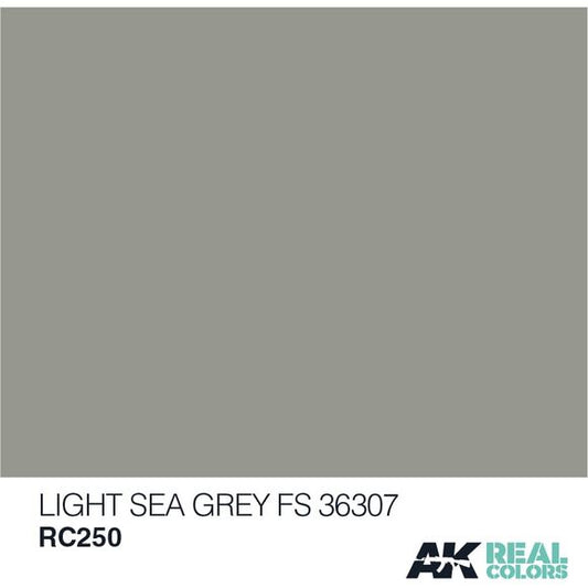 AK Interactive Real Color Light Sea Grey 10ML Acrylic Hobby Paint Bottle