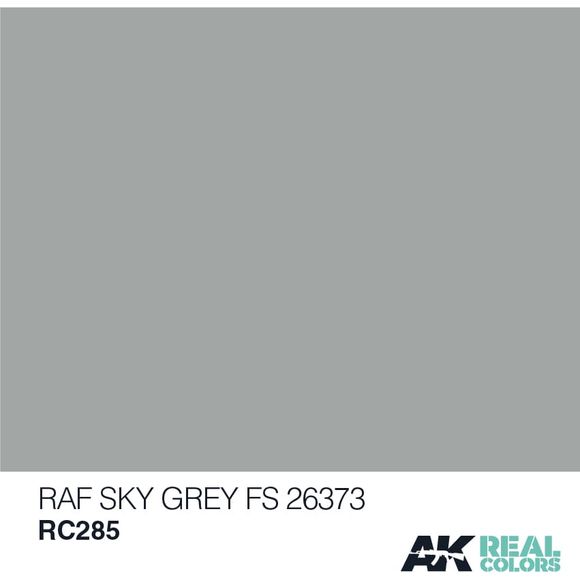 AK Interactive Real Color RAF Sky Grey 10ML Acrylic Hobby Paint Bottle | Galactic Toys & Collectibles