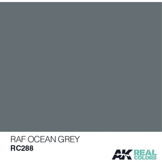 AK Interactive Real Color RAF Ocean Grey 10ML Acrylic Hobby Paint Bottle