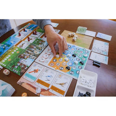 Stonemaier Games: Wingspan Asia - Standalone game or expansion