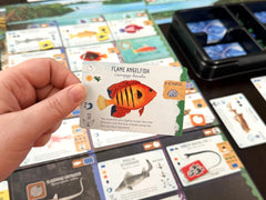 Stonemaier Games: Finspan Sharks & Reefs Expansion