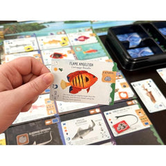 Stonemaier Games: Finspan Sharks & Reefs Expansion