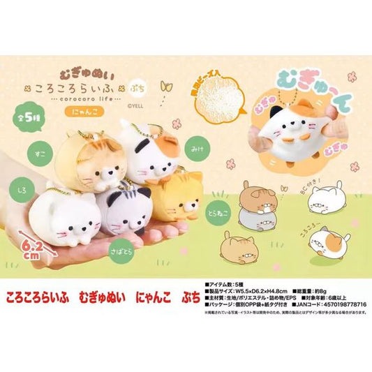 5 types in total: Scottish Fold, White cat, Calico cat, Mackerel Tabby, and Tabby Cat.  Add some soft, squishy charm to your collection with these adorable cats!  Each mini plush features a rounded "loafed" cat design with a super soft exterior and microbead filling for a satisfying squishy feel.

Please note: All orders are random! We cannot guarantee a certain figure or "set".