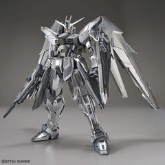 Bandai Gundam Base Limited Freedom Gundam Ver. 2.0 Silver Coating MG 1/100 Model Kit