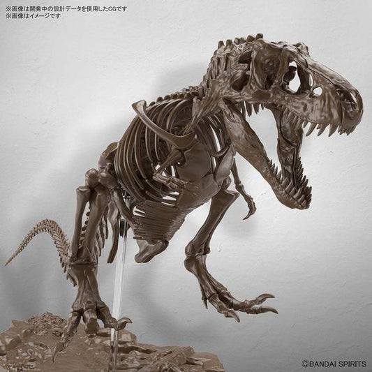 Bandai Spirits Imaginary Skeleton Tyrannosaurus T-Rex 1/32 Scale Educational Model Kit | Galactic Toys & Collectibles