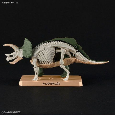 Bandai Hobby Planosaurus Triceratops Model Kit | Galactic Toys & Collectibles