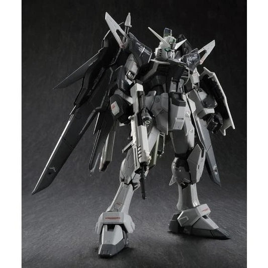 P-Bandai Gundam SEED Destiny Gundam Deactive Mode RG 1/144 Scale Model Kit