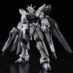 P-Bandai Strike Freedom Gundam ZGMF-X20A (Deactive Mode) RG 1/144 Model Kit