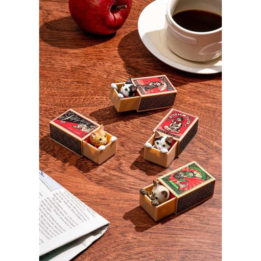 This is a unique blind box series, indeed! Featuring different breeds of cats wedged inside of their own little matchboxes. 4 variations have their heads poking out to greet you and the other 4 have them hiding inside the box. They’re playing ‘peekaboo’ with you! These perfectly detailed figurines series has a total of 8 variations and are the perfect addition to your desk, bookshelf, or any location you’d like to give a little more character!
