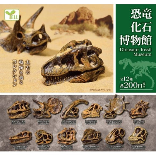 12 different types possible: Tyrannosaurus, Triceratops, Parasaurolophus, Diplodocus, Styracosaurus, Dracorex, Velociraptor, Oviraptor, Carnotaurus, Dilophosaurus, Nigersaurus, Brachiosaurus.

Please note: All orders are random! We cannot guarantee a certain figure or "set".