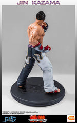 First 4 Figures TEKKEN 5 Jin Kazama 19" Regular Edition Resin Figure