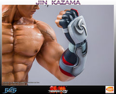 First 4 Figures TEKKEN 5 Jin Kazama 19" Regular Edition Resin Figure