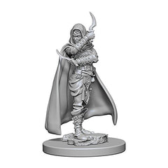 Pathfinder Deep Cuts Unpainted Miniatures: W01 Human Female Rogue | Galactic Toys & Collectibles