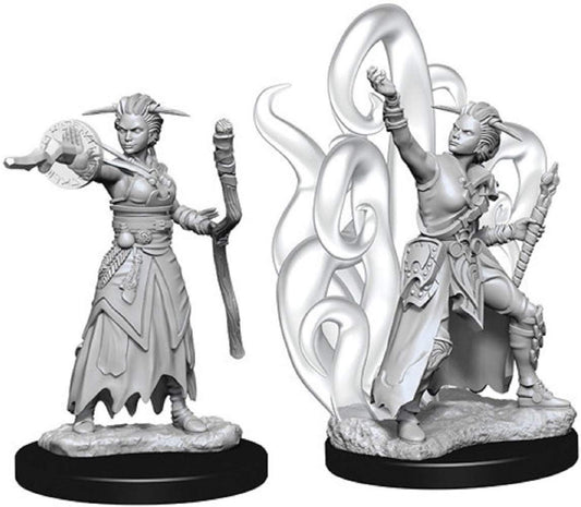 Dungeons & Dragons Nolzur’s Marvelous Miniatures come with highly detailed figures, primed and ready to paint out of the box. These fantastic miniatures include deep cuts for easier painting. The packaging displays these miniatures in a clear and visible format, so customers know exactly what they are getting. This is a 2-count character pack which includes a low-level and high-level miniature of the same character.