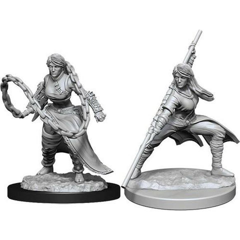 Dungeons & Dragons Nolzur`s Marvelous Unpainted Miniatures: W14 Human Monk Female | Galactic Toys & Collectibles