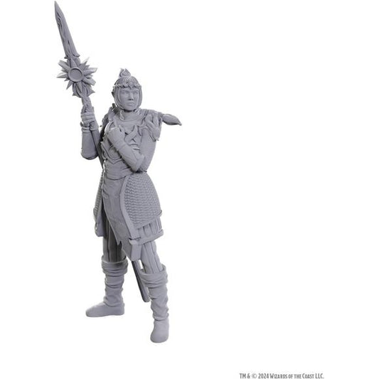 WizKids D&D Nolzur's Marvelous Miniatures: Special Edition Baldur's Gate 3 (Lae'zel & Shadowheart)