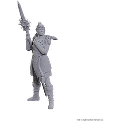 WizKids D&D Nolzur's Marvelous Miniatures: Special Edition Baldur's Gate 3 (Lae'zel & Shadowheart)