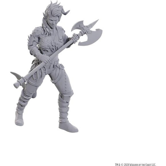WizKids D&D Nolzur's Marvelous Miniatures: Special Edition Baldur's Gate 3 (Wyll & Karlach)