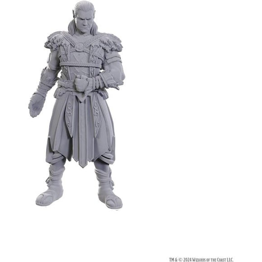WizKids D&D Nolzur's Marvelous Miniatures: Special Edition Baldur's Gate 3 (Jaheira & Halsin)