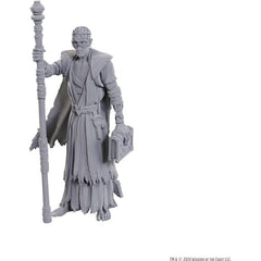 WizKids D&D Nolzur's Marvelous Miniatures: Special Edition Baldur's Gate 3 (Volo & WIthers)