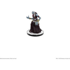 Dungeons & Dragons: Icons of the Realms: Monster Manual Collection 1 Booster (Single Pack)