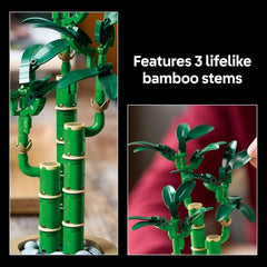 Set de construcción LEGO Botanicals 10344 Bambú de la Suerte