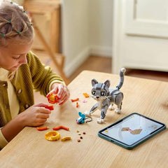 LEGO Creator 3 in 1 31163 Playful Cat Building Kit