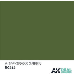 AK interactive Real Color A-19F Grass Green 10ML Acrylic Hobby Paint Bottle