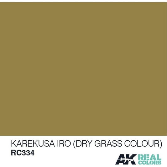 AK Interactive Real Color Karekusa IRO Dry grass Color 10ML Acrylic Hobby Paint Bottle | Galactic Toys & Collectibles